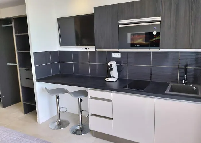 Naturiste Cap D'agde Heliopolis D 11 * 아그